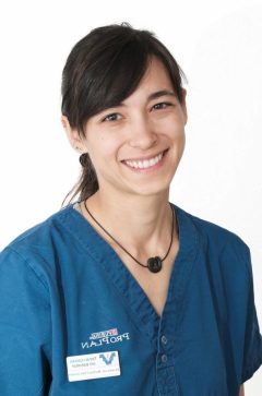 Dr. med. vet. Martina Fries-Gerber